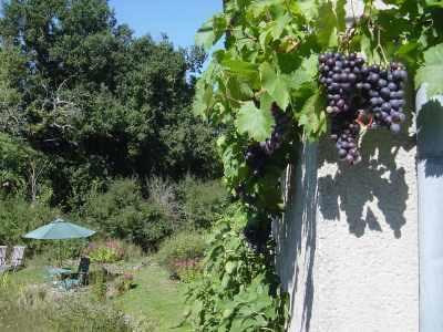 Chez Tartaud Villa Lathus St Remy Kültér fotó
