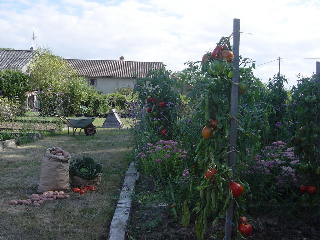 Chez Tartaud Villa Lathus St Remy Kültér fotó