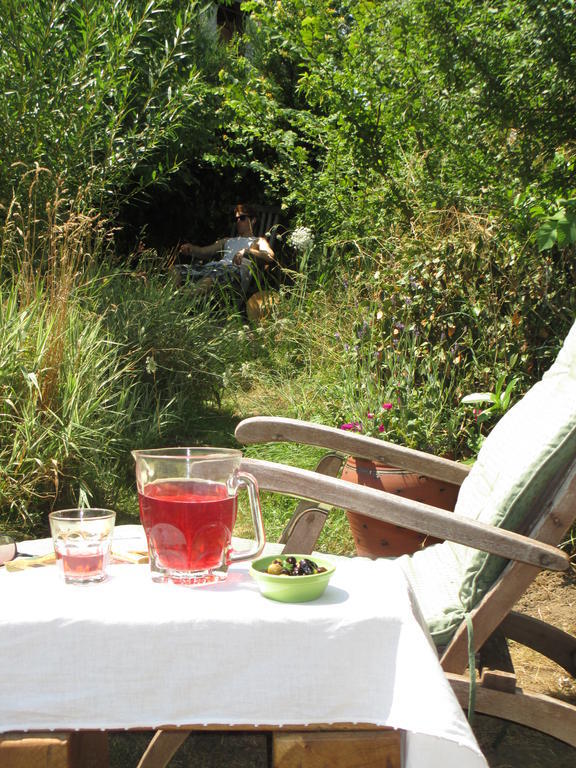 Chez Tartaud Villa Lathus St Remy Kültér fotó