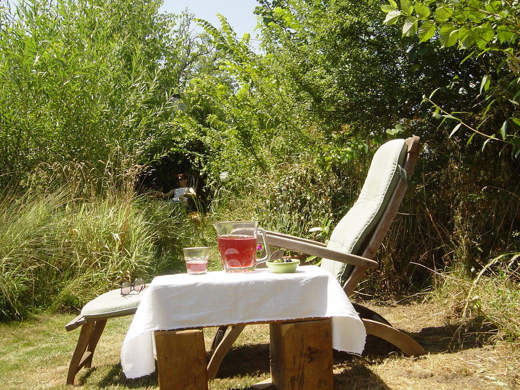 Chez Tartaud Villa Lathus St Remy Szoba fotó